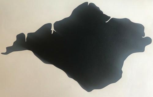 Vinyl isle wight silhouette - of,