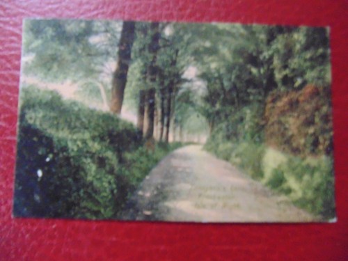 Tennyson lane freshwater - tennyson's, lane,