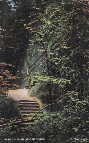 Shanklin chine isle wight - chine,, of