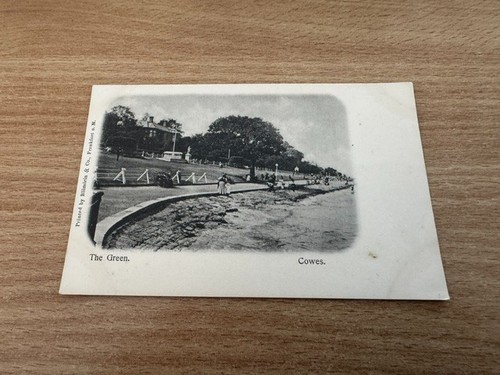 Postcard the green cowes - -,