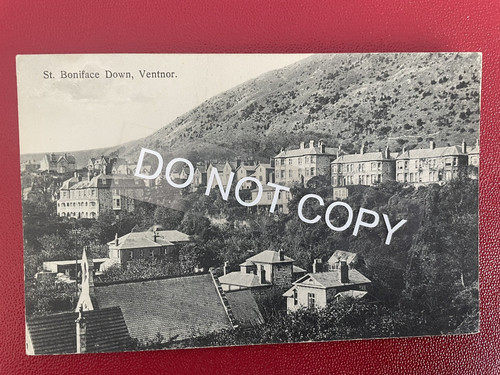 Boniface down ventnor - down,,
