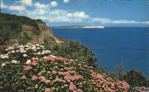 Vintage postcard luccombe - postcard,