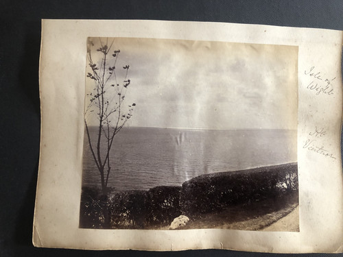 Ventnor isle wight albumen - ventnor,